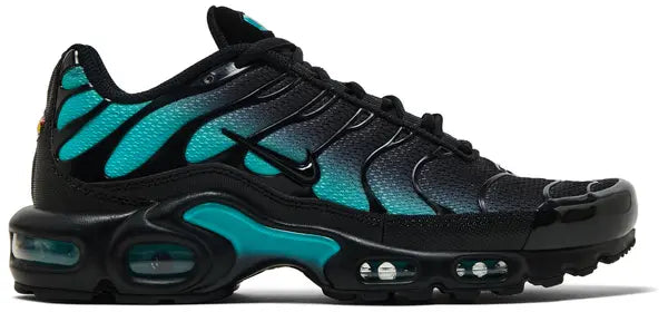Nike Air Max Plus Tn Black Dusty Cactus