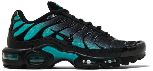 Nike Air Max Plus Tn Black Dusty Cactus
