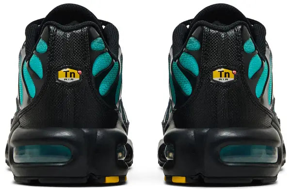 Nike Air Max Plus Tn Black Dusty Cactus
