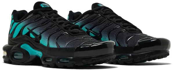 Nike Air Max Plus Tn Black Dusty Cactus